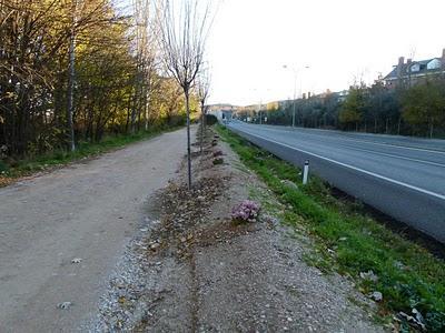 Paseo de las Agujetas. Comentarios de la arquitecta. Paseo de las Agujetas. Comentarios de la arquitecta.
