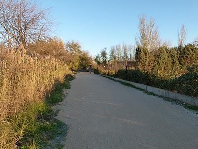 Paseo de las Agujetas. Comentarios de la arquitecta. Paseo de las Agujetas. Comentarios de la arquitecta.