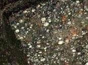 meteoritos pueden haber entregado primer amoníaco para vida Tierra