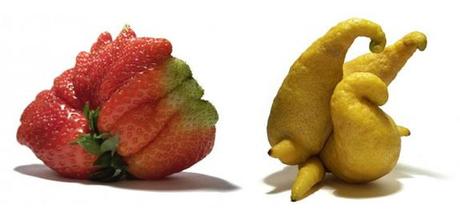 Mutato Project :: rarezas naturales