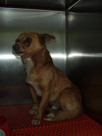 Gente de Fuenteventura o alrededores. Ayuda