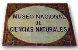 El elefante del Museo de Ciencias Naturales