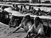 Otras miradas: Sebastiao Salgado