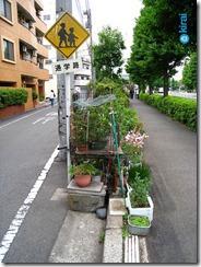 2570064184_d9abe3b3a8