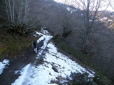 Ruta invernal por el Norte de España (II) - Valles del Nansa y Liébana y algo más. 5-12/02/11