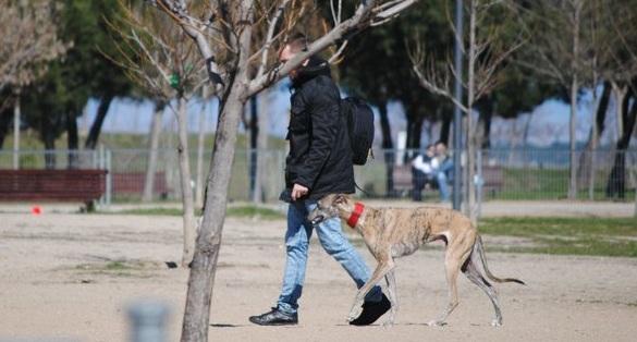 Fu ya marca su territorio