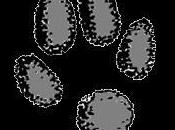 Simposio Investigación Científica Ciencias Salud Enfermería Pucarani 2011
