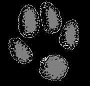 I Simposio de Investigación Científica en Ciencias de la Salud y Enfermería - UAC Pucarani 2011 UCB