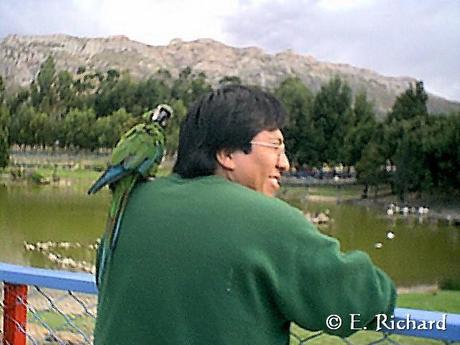 El zoológico como institución... imágenes obsenas... y mi por demás breve crítica...