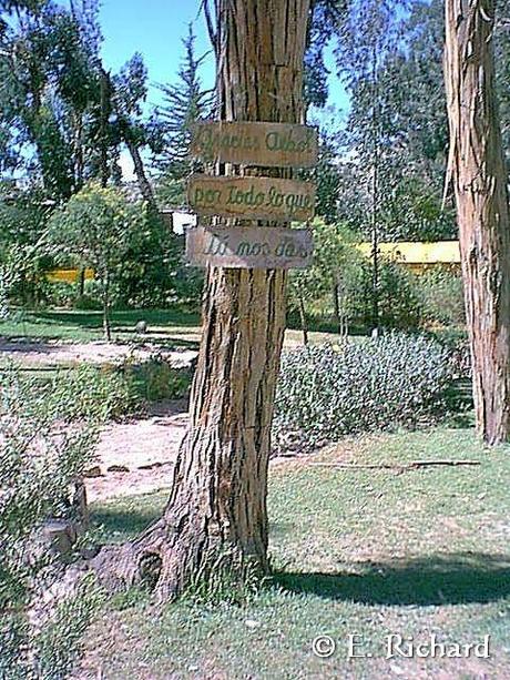 El zoológico como institución... imágenes obsenas... y mi por demás breve crítica...