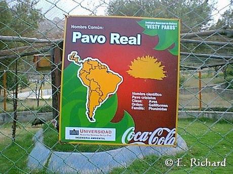 El zoológico como institución... imágenes obsenas... y mi por demás breve crítica...