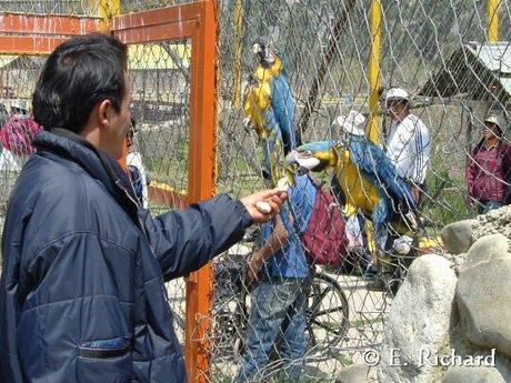 El zoológico como institución... una visión y crítica desde lo pedagógico, lo personal y profesional...