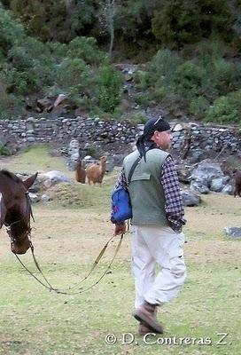 El zoológico como institución... una visión y crítica desde lo pedagógico, lo personal y profesional...