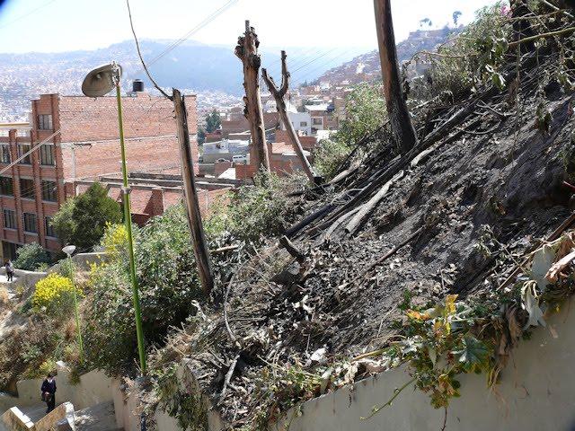 Educar en la empatía, el respeto y la convivencia armónica…II. “La fiesta de San Juan…”