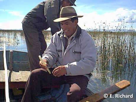 NOTAS: CRÓNICA DE UNA MUERTE ANUNCIADA.I. La keñola del Titikaka: Rollandia microptera (Reptiles [ex Aves]: Podicipediformes).