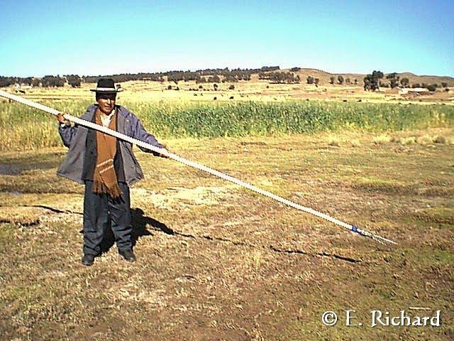 CRONICA DE UNA MUERTE ANUNCIADA.II. La keñola del Titikaka: Rollandia microptera (Reptiles [ex Aves]: Podicipediformes). Segunda parte: Dos factores más que predisponen su extinción (Educación y Cacería…)