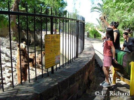 El zoológico… imágenes obsenas...Y mi por demás breve crítica a esta institución…