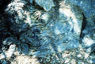 Estromatolitos del precámbrico