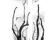 Carteles tráiler ‘The corridor’–Una historia terror poco convencional