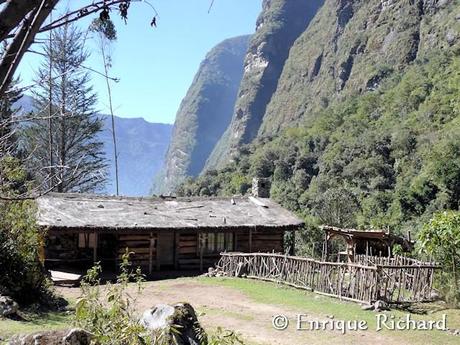 FOTOREPORTAJE ESPECIAL: Las orquídeas del jardín de Robert Leroy Parker, Buch Cassidy. Parte I. Oncidium cf bracteatum. Una especie extraordinariamente hermosa de Los Yungas, La Paz, Bolivia… FOTOREPORTAJE ESPECIAL: Las orquídeas del jardín de Robert Leroy Parker, Buch Cassidy. Parte I. Oncidium cf bracteatum. Una especie extraordinariamente hermosa de Los Yungas, La Paz, Bolivia…