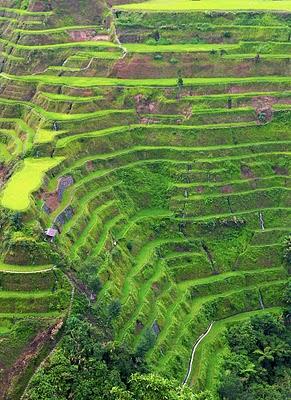 Home: Nuestro legado (I)