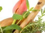 Cómo tomar hierbas medicinales