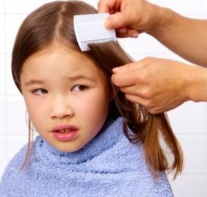 cedro-santo-combatir-pediculosis Combate los piojos con vinagre y otros remedios