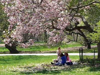 Un día en Nueva York