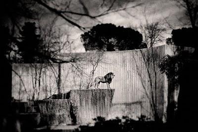 Carlos Luján + resumen semanal Carlos Luján + resumen semanal