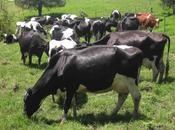 acertijo Lunes Solución!