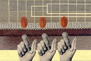 :: Mariana Fossatti ::