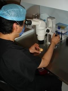 Infertilidad en México, un problema de salud