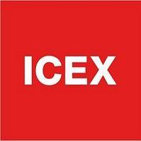 Becas ICEX de informatica España 2011