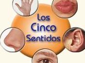 sentidos