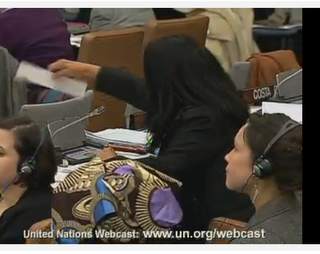 CHILEFREAK: Pastel Provida Profundo Prosernam en la ONU El 1 de Marzo de 2011