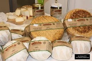 Recorriendo Biocultura. Recorriendo Biocultura.