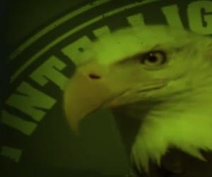 Cuba:  información desclasificada de la agresión de EEUU