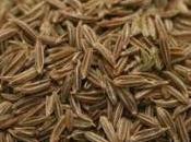 producto Especias: Comino