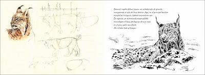 NUEVO LIBRO: Cuaderno de campo de Sierra Morena
