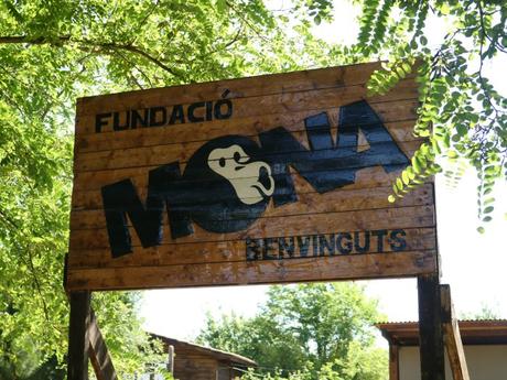 fundaciomona2