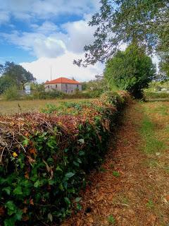 Vilar de Fraga - Soandres-Laracha- A Coruña - Galicia - E...