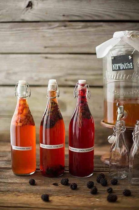 KOMBUCHA, FERMENTOS, LEVADURAS Y PROBIÓTICOS