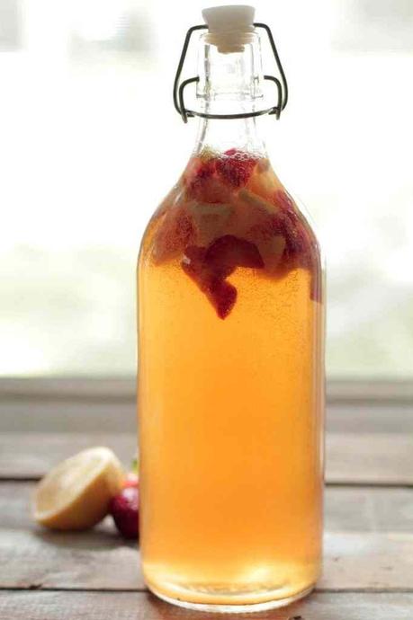 KOMBUCHA, FERMENTOS, LEVADURAS Y PROBIÓTICOS