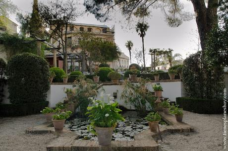 Viaje Ronda jardines Palacio Rey Moro