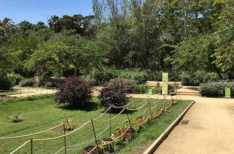 Pinhan Café y los jardines del Turó Park