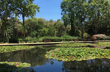Pinhan Café y los jardines del Turó Park