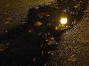 Iluminación, poema Master Dogen