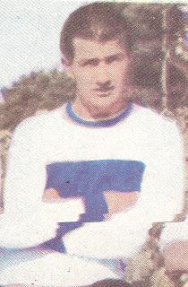 Nestor Italo Julio Isella