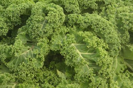 ENSALADA CESAR DE KALE