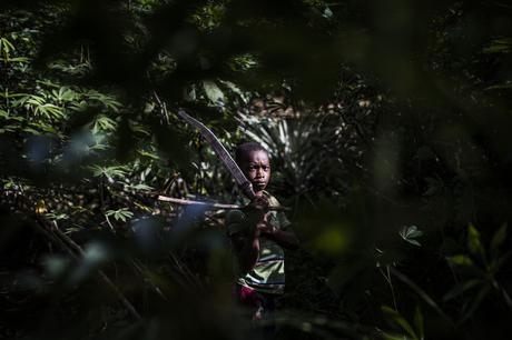 Trabajo infantil en Costa de Marfil: Una radiografía sobre el terreno.